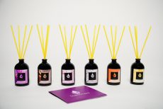 08. Scentiment Home Perfume - Reed Diffuser 100 ml